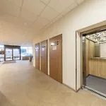 市中心瓦伦蒂娜公寓 *